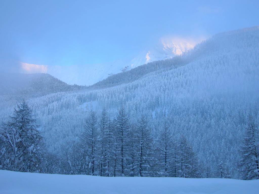 Casa Grande Διαμέρισμα Pragelato Εξωτερικό φωτογραφία