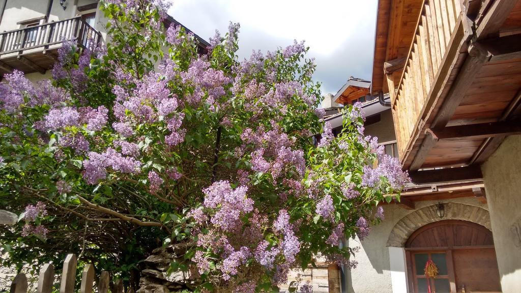 Casa Grande Διαμέρισμα Pragelato Εξωτερικό φωτογραφία